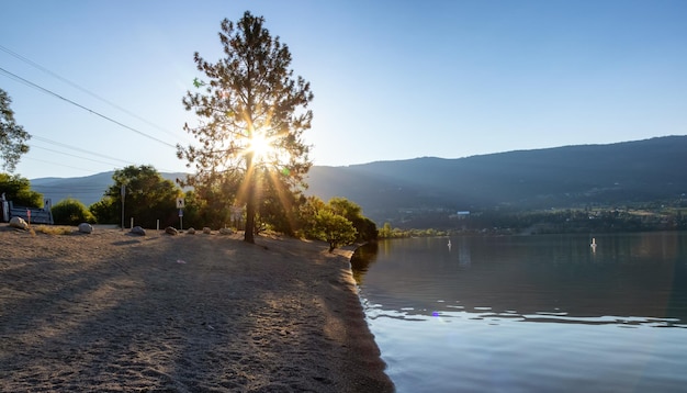 Vista pacífica del lago de madera con reflejo en el agua y las montañas en segundo plano.