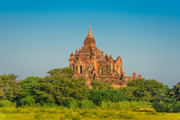 Vista de pagodas antiguas en Bagan