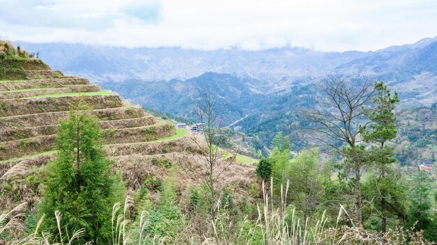 Vista del país Dazhai con jardines en terrazas