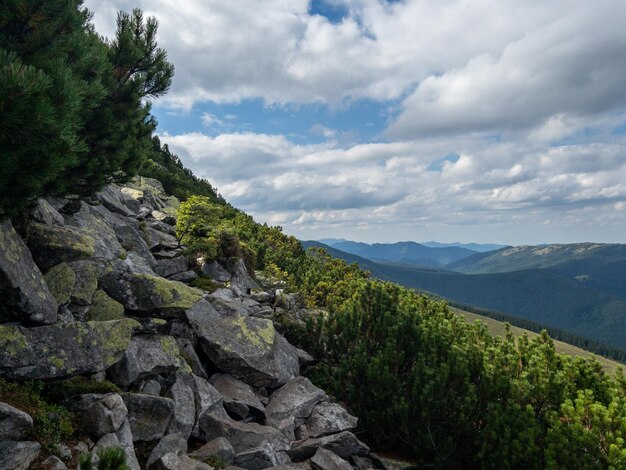 Foto vista paisagística de pedras e montanhas dos cárpatos