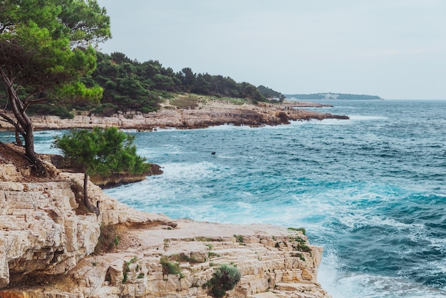 Vista del paisaje de aguas tormentosas con playa rocosa