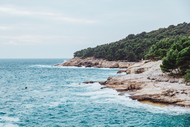 Vista del paisaje de aguas tormentosas con playa rocosa