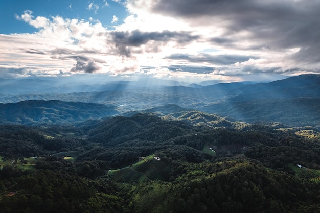 Vista del paisaje en la alta colina verde