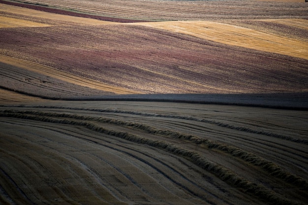 Vista del paisaje en ángulo alto
