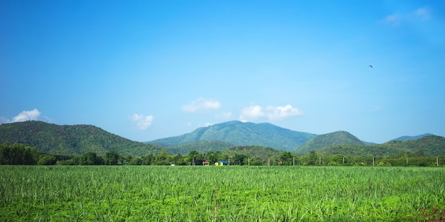 Foto vista del paisaje del área de midland, tailandia