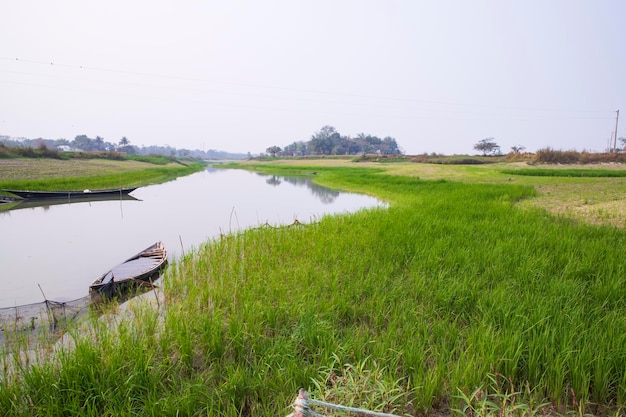 Vista del paisaje del campo de arroz y el barco de pesca al lado del Canal