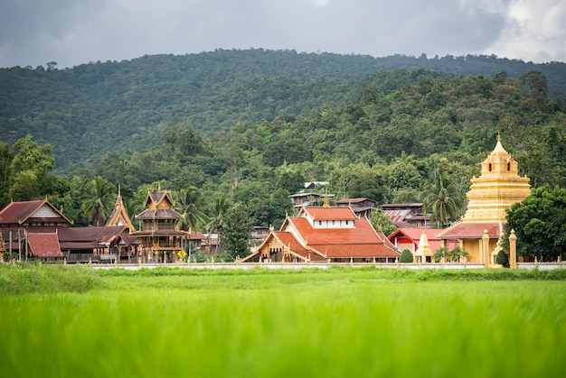 Vista del paisaje del campo de arroz verde con el antiguo templo en Tailandia pagoda dorada y montaña