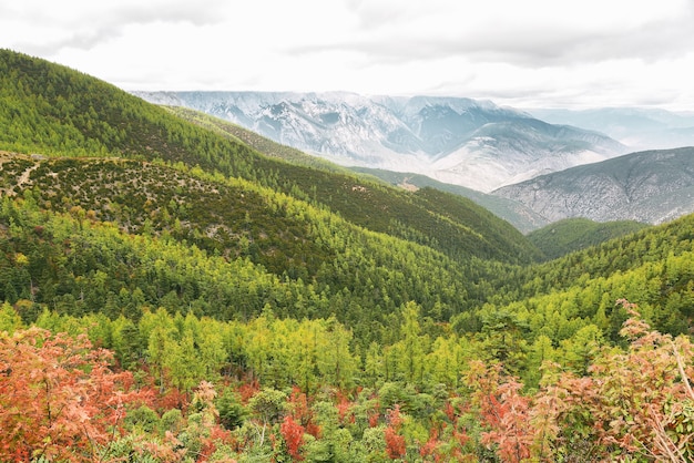 Vista del paisaje en el campo