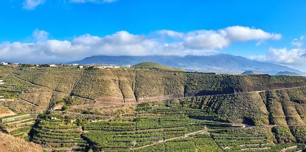 Vista del paisaje de Copyspace de las plantaciones de banano alrededor de Los Llanos La Palma en España Tierras de cultivo remotas en el campo contra un cielo azul Montañas aisladas en una ciudad desierta con espacio de copia
