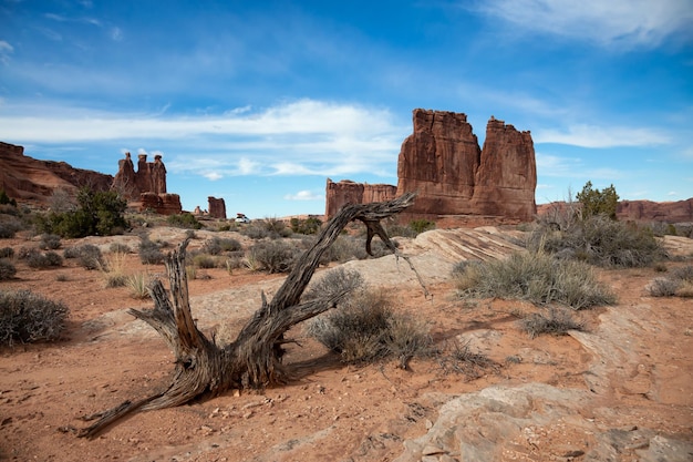 Vista del paisaje de formaciones de cañón de roca roja