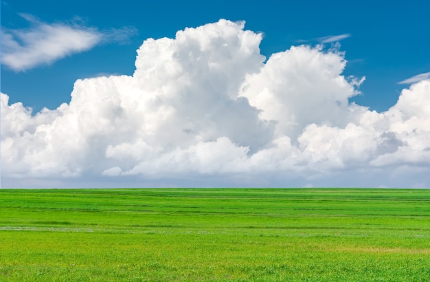 Vista del paisaje de hierba verde en campo con fondo de cielo azul y nubes