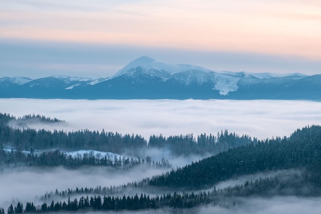 La vista del paisaje de invierno montañas de los cárpatos de ucrania bukovel