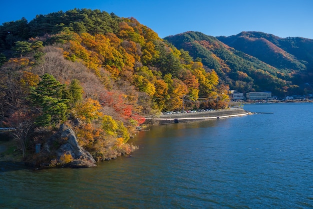 Vista del paisaje del lago y el árbol de otoño