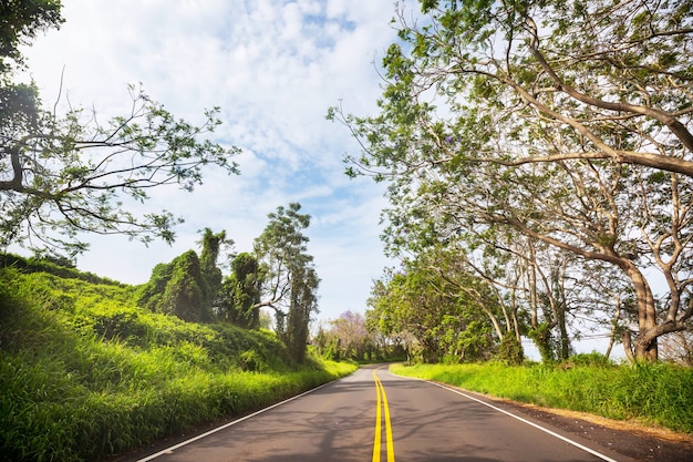 Vista del paisaje a lo largo de la autopista Piilani en Maui, islas hawaianas.