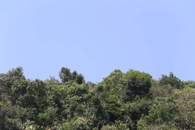 Vista del paisaje de la montaña de borde sobre fondo de cielo azul