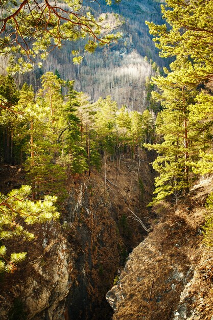 Vista del paisaje de montaña y cañón