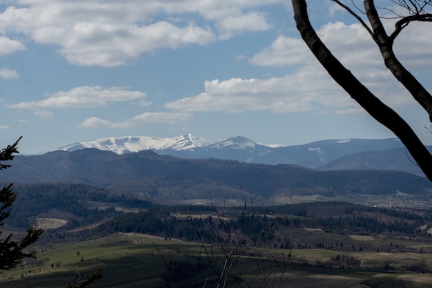 Vista del paisaje de las montañas de los Cárpatos en un día nublado de verano. Cumbres, bosques, campos y prados, hermoso paisaje natural.