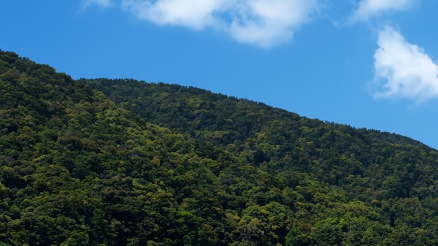 vista del paisaje de las montañas