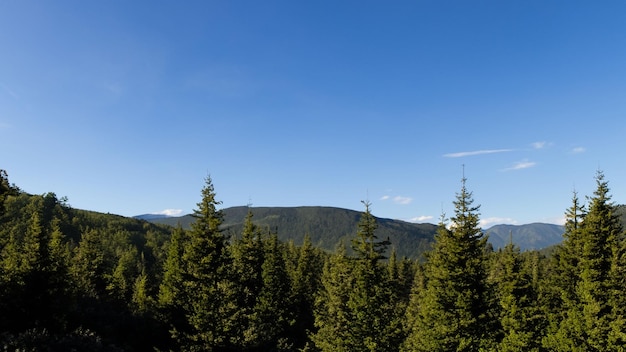 vista del paisaje de las montañas