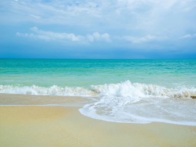 Vista del paisaje de una playa tropical bajo el sol en un día soleado