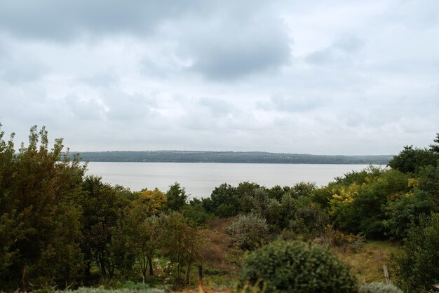 Vista del paisaje del río a través del verde jardín alpino