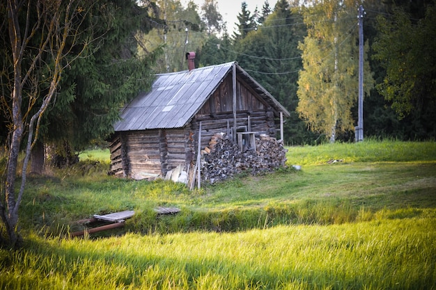 Vista del paisaje rural con una cabaña de troncos de madera rodeada de árboles