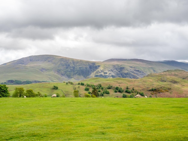 Vista del paisaje rural de campo verde y fondo de montaña bajo un cielo nublado en Inglaterra