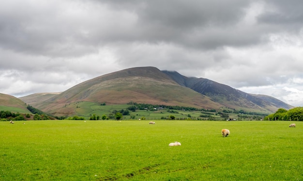 Vista del paisaje rural de campo verde y fondo de montaña bajo un cielo nublado en Inglaterra