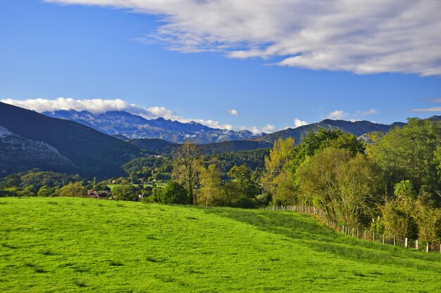 Vista del paisaje rural con el telón de fondo de las montañas y el cielo azul Camino de Santiago Ruta del Norte