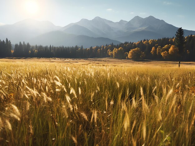 Una vista del paisaje rural de verano