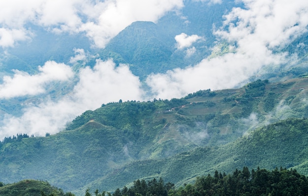 vista del paisaje de terrazas de arroz y hermosas montañas con nubes y niebla. SaPa, Vietnam