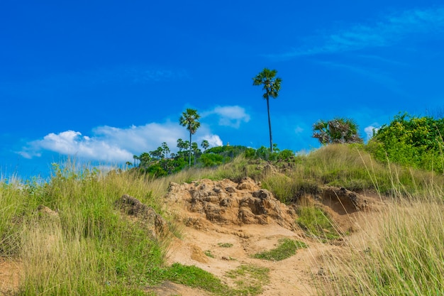 Foto vista del paisaje de la tierra de la hierba. en phuket, tailandia. en viajes de verano