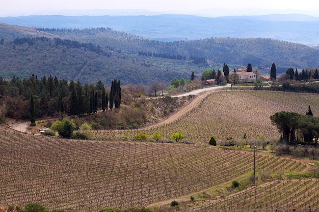 Vista del paisaje típico de la Toscana y un valle con viñedos, en la provincia de Siena. Toscana, Italia