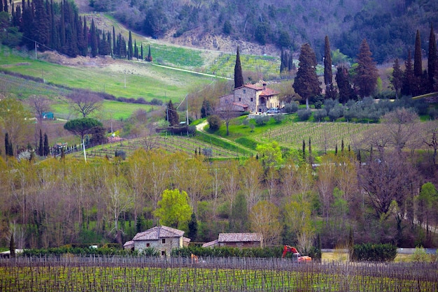 Vista del paisaje típico de la Toscana y un valle con viñedos, en la provincia de Siena. Toscana, Italia