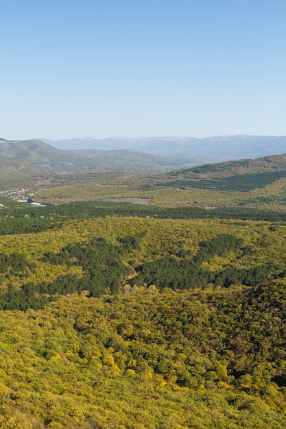 Vista de pájaro del bosque