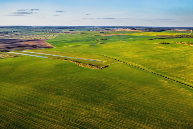 Vista de pájaro de un campo verde. Campaña de siembra en Belarus.Nature Of Belarus.Own campo verde al atardecer.