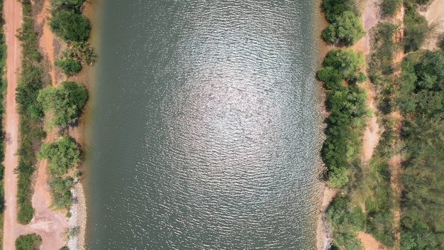 Una vista de pájaro del manglar desde un dron.