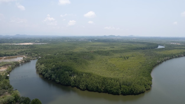 Una vista de pájaro del manglar desde un dron.