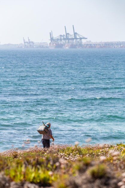 Foto vista de un pájaro en la playa