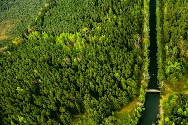 Vista de pájaro del río y el puente.