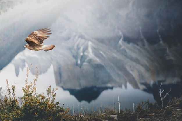 Vista de un pájaro volando sobre el lago contra las montañas