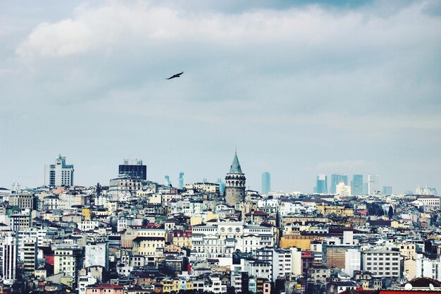 Foto vista de un pájaro volando sobre el paisaje urbano contra un cielo nublado