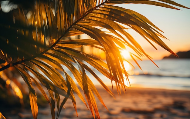 Vista de palmera frente al mar