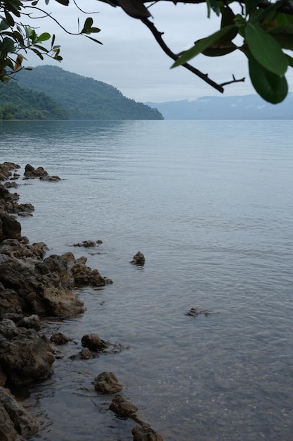 Una vista de un panorama del lago por la mañana