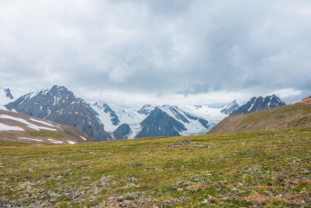 Vista panorámica alpina desde una colina cubierta de hierba verde iluminada por el sol hasta una alta cordillera nevada con cimas afiladas y glaciares bajo un cielo gris nublado Paisaje colorido con grandes montañas nevadas en un clima cambiante