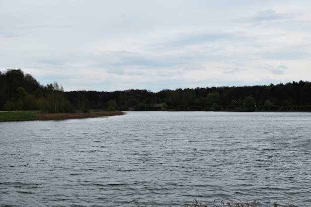 Vista panorâmica ao lago. lago em um fundo de nuvens. dia nublado de primavera.