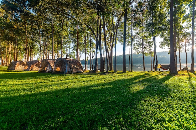 Foto vista panorámica de los árboles en el campo contra el cielo