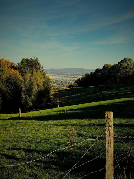 Foto vista panorámica de los árboles en el campo contra el cielo