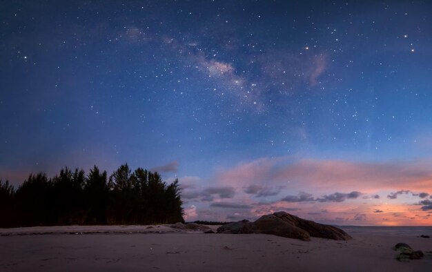 Foto vista panorámica de los árboles contra el cielo por la noche