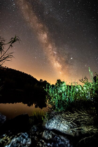 Foto vista panorámica de los árboles contra el cielo por la noche